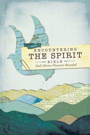 NIV, Encountering the Spirit Bible